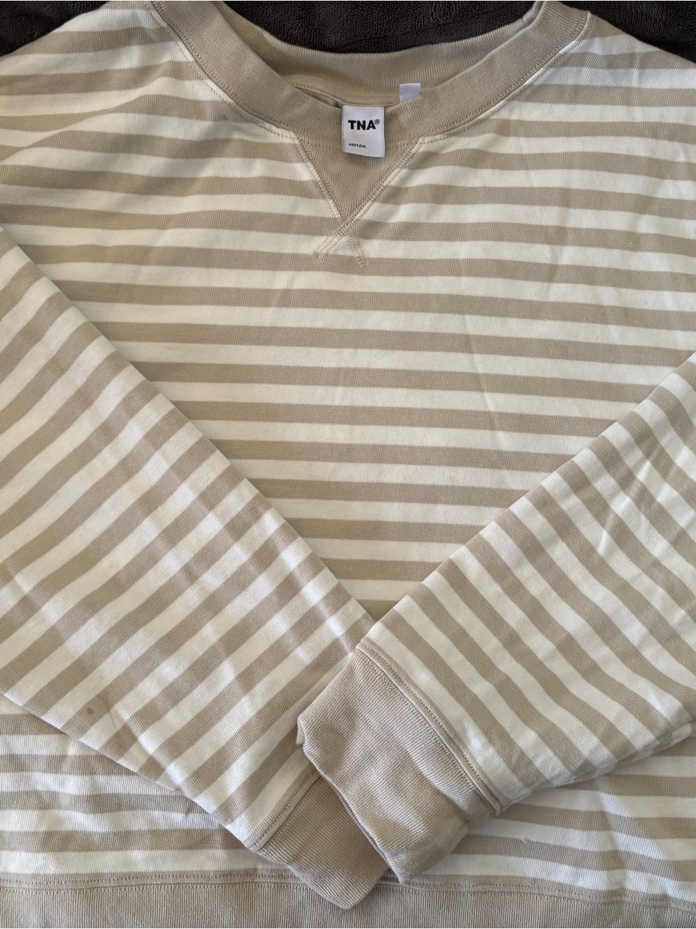 Aritzia Striped Crewneck